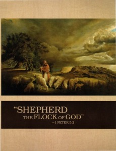 shepherd-flock-cover-ks10